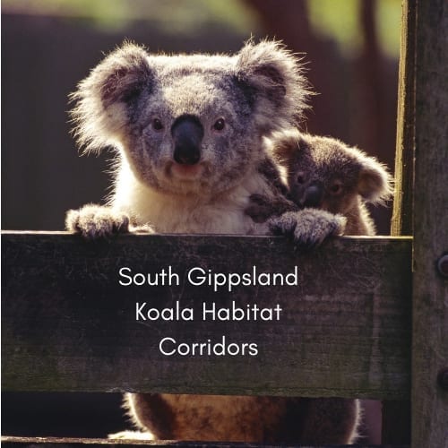 South Gippsland Koala habitat corridors