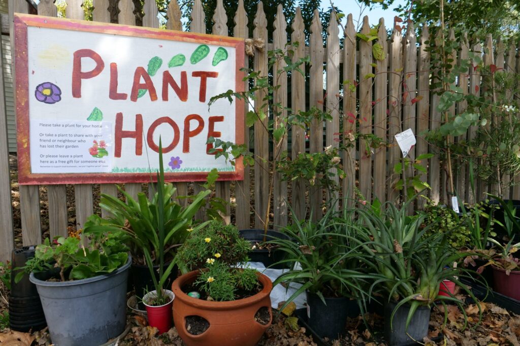 a fence with a poster that reads 'plant hope' in red positioned above potted plants in vibrant green.