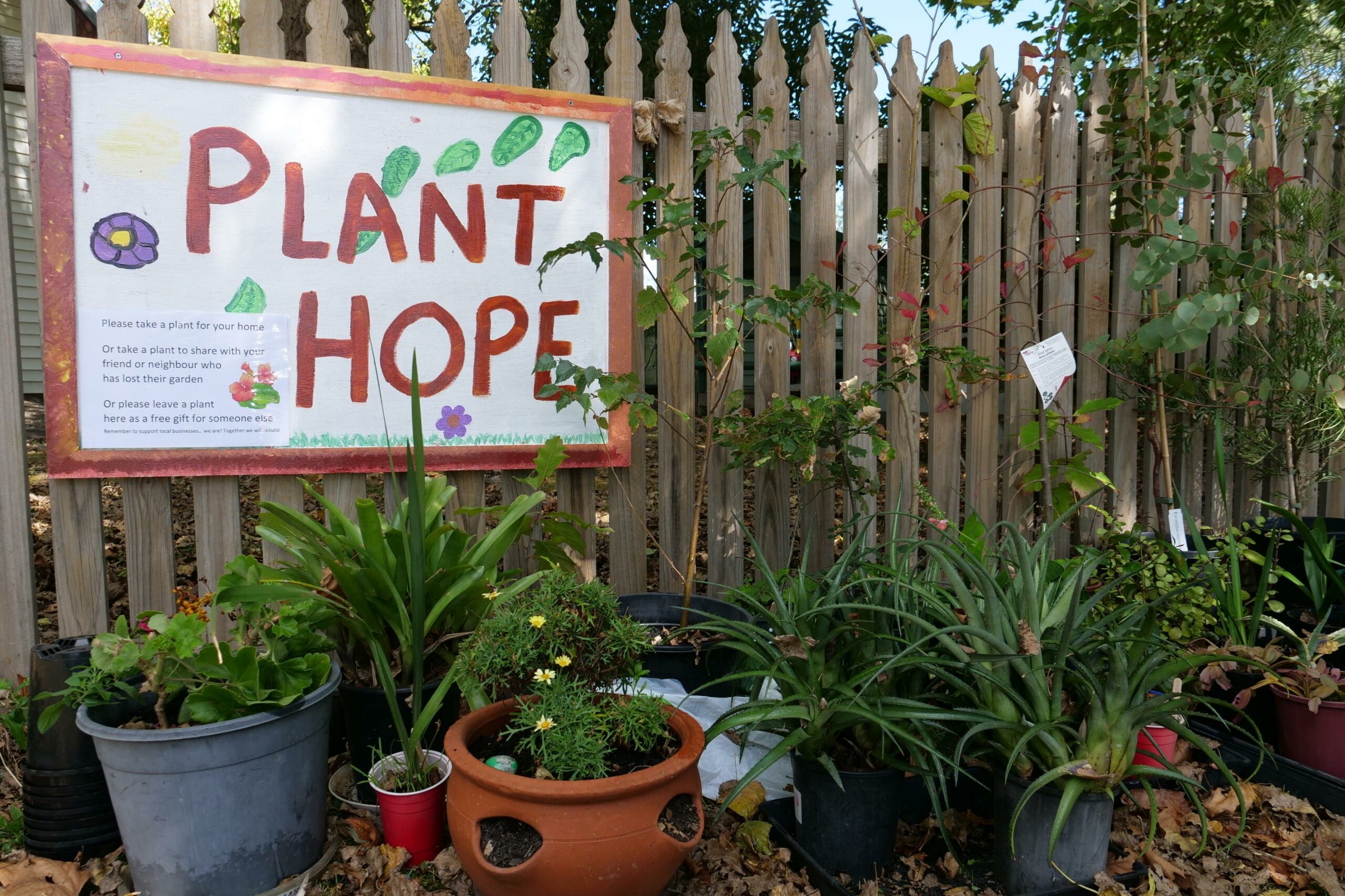 a fence with a poster that reads 'plant hope' in red positioned above potted plants in vibrant green.